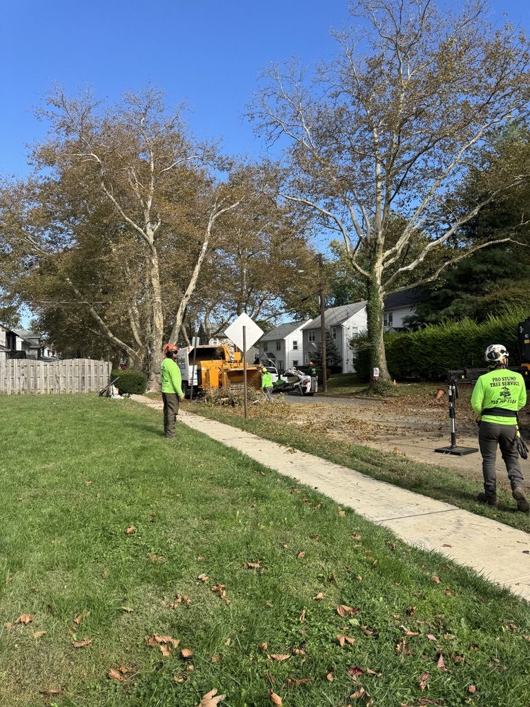 Bandit brush chipper processing removal debris in residential Freehold, NJ, Pro-Stump Tree Service cleanup phase