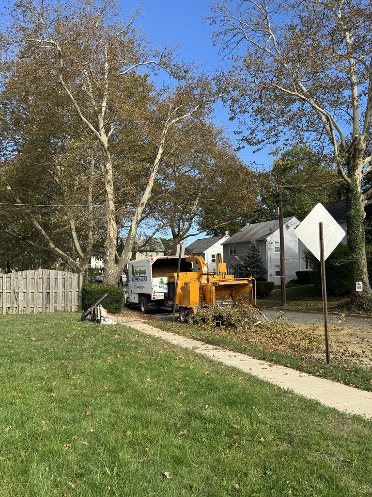 Crane-assisted tree service in Freehold, NJ, Pro-Stump Tree Service, ISA Certified Arborist on staff