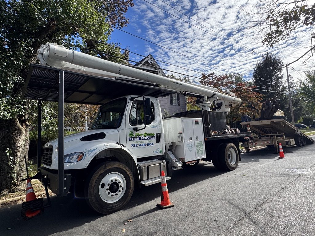 Crane-assisted sycamore removal on a residential Freehold NJ street, Pro-Stump Tree Service Terex Stinger crane truck