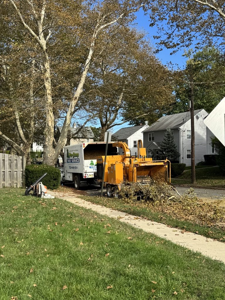 Terex Stinger crane truck extended for tree removal in Freehold, NJ, Pro-Stump Tree Service, family-owned tree service since 1987