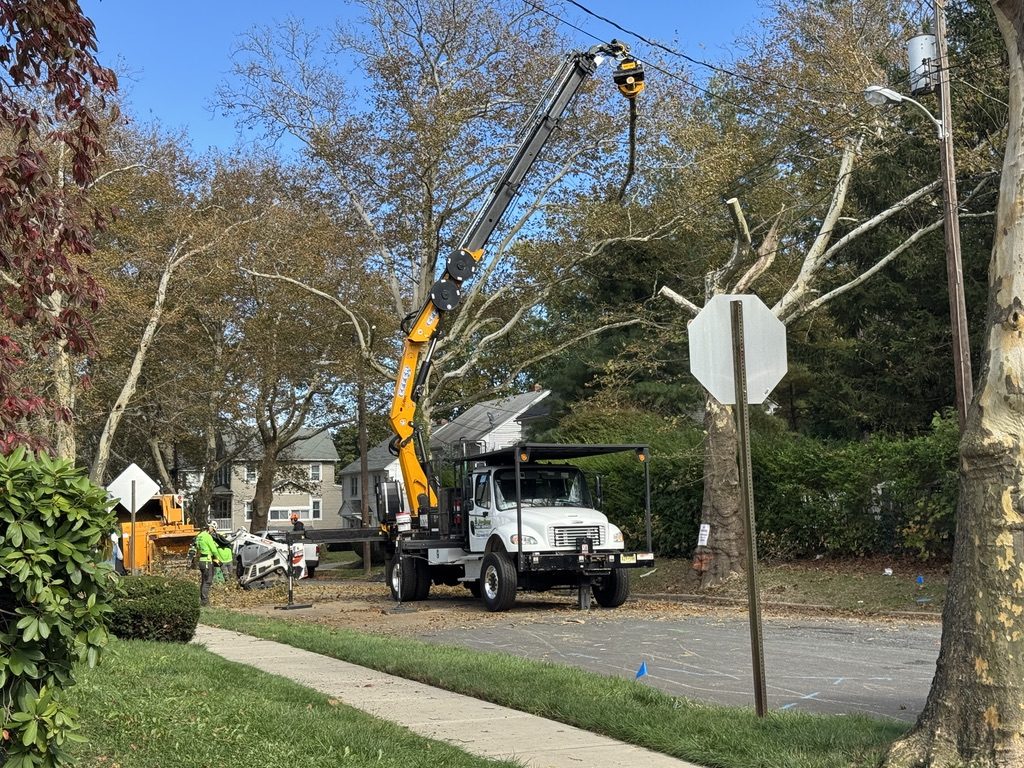 Residential tree removal in Freehold, Monmouth County NJ, Pro-Stump Tree Service, family-owned since 1987