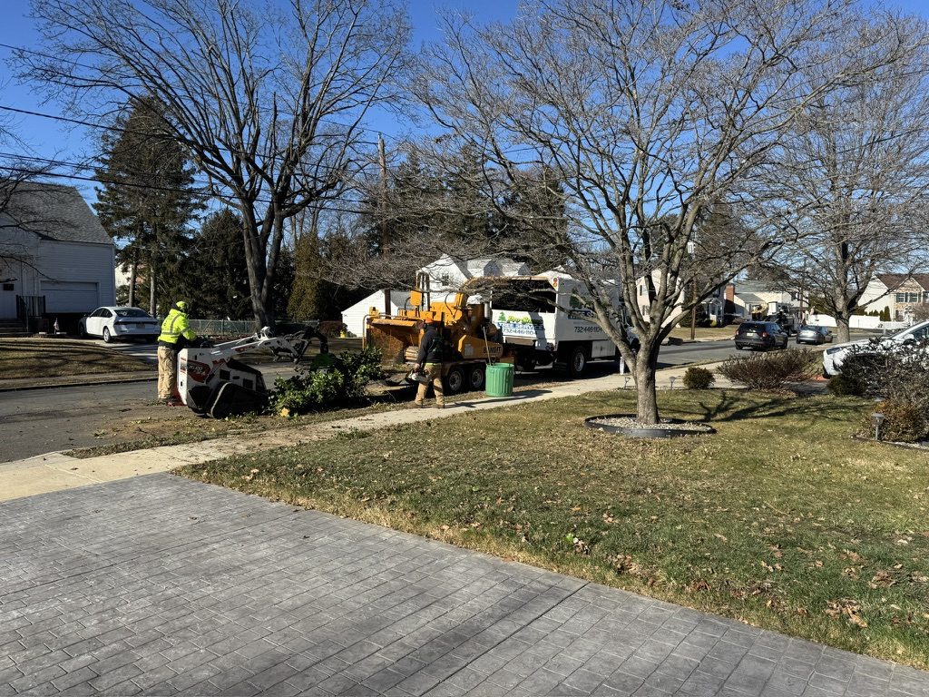 Pro-Stump Tree Service crew clearing overgrowth at Hamilton Veterans Park, Hamilton Township NJ