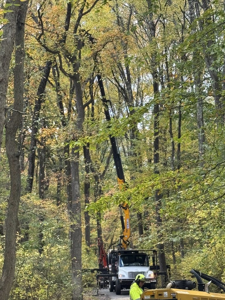 Municipal tree work for Hamilton Township, Pro-Stump Tree Service at Hamilton Veterans Park (family-owned since 1987)