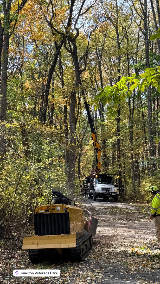 Kubota U55-4 excavator with grapple attachment clearing brush at Hamilton Veterans Park, Pro-Stump Tree Service, Hamilton Township NJ tree service