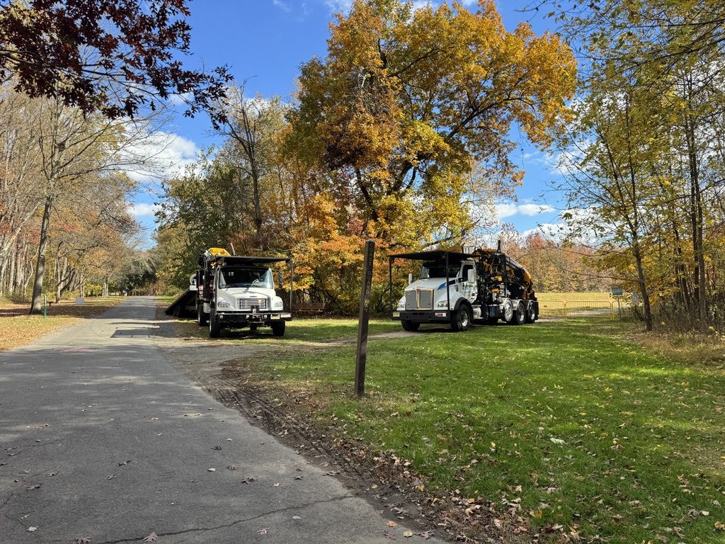 Multi-day park tree service project at Hamilton Veterans Park, Pro-Stump Tree Service, Hamilton Township NJ (NJ LTE #200988)