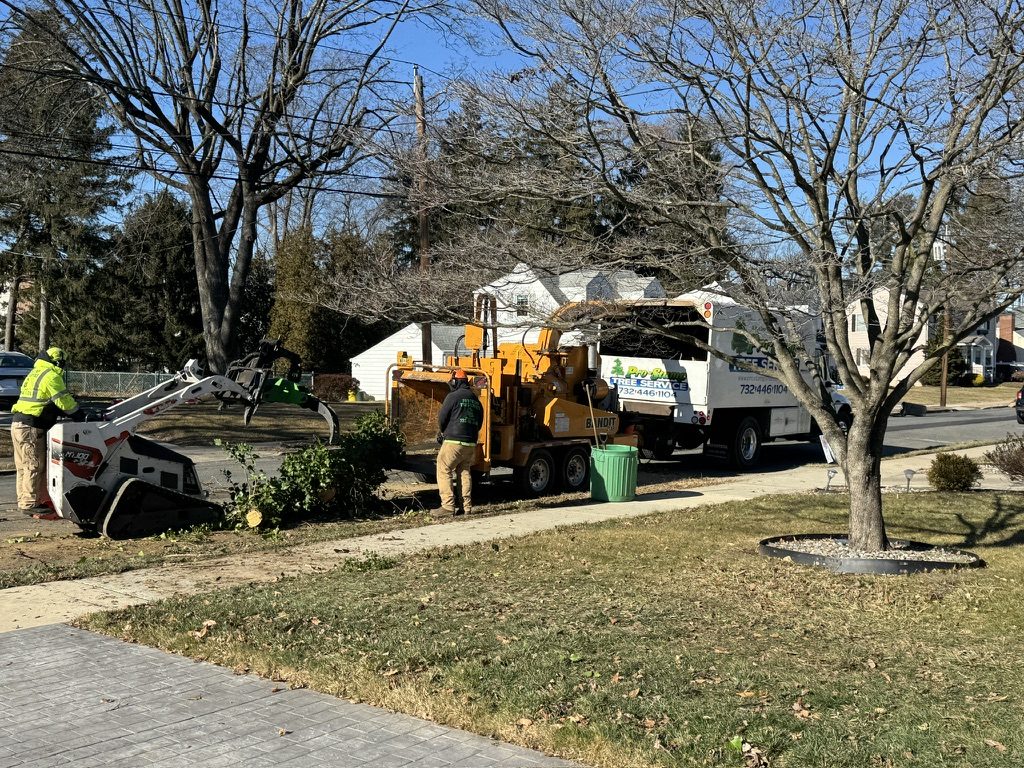 Pro-Stump Tree Service work truck staged for park land clearing at Hamilton Veterans Park, Hamilton Township NJ