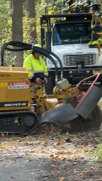 Bobcat MT100 mini track loader by Pro-Stump Tree Service