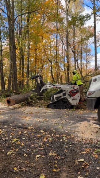 Bobcat MT100 mini track loader by Pro-Stump Tree Service