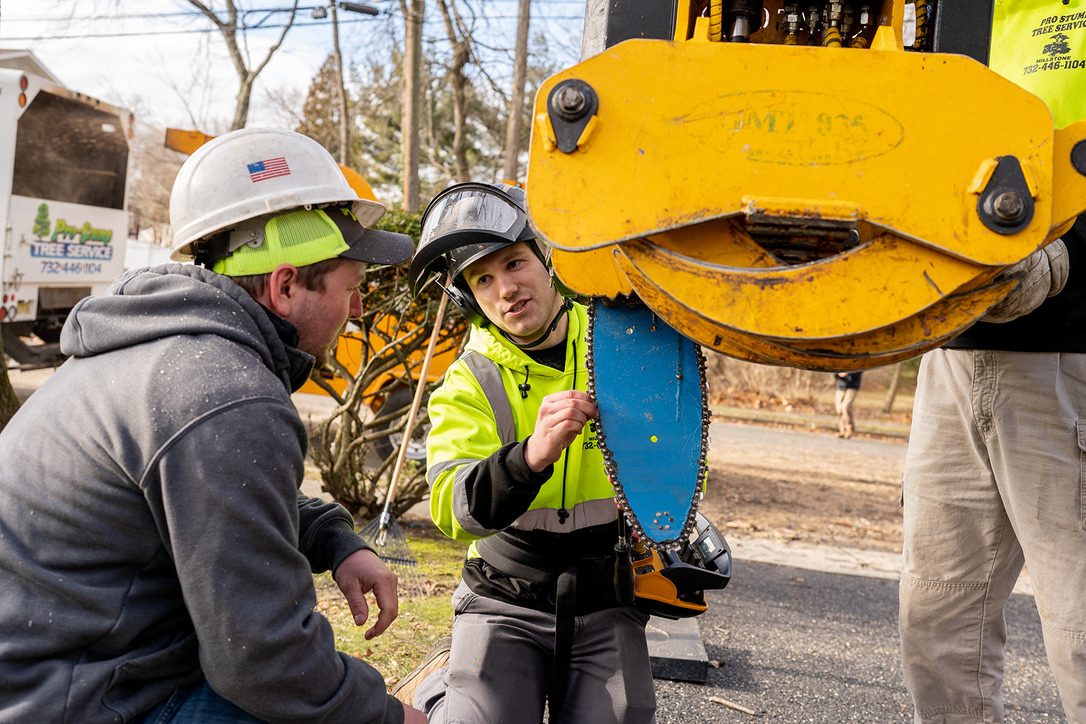 Bandit wood chipper processing brush by Pro-Stump Tree Service