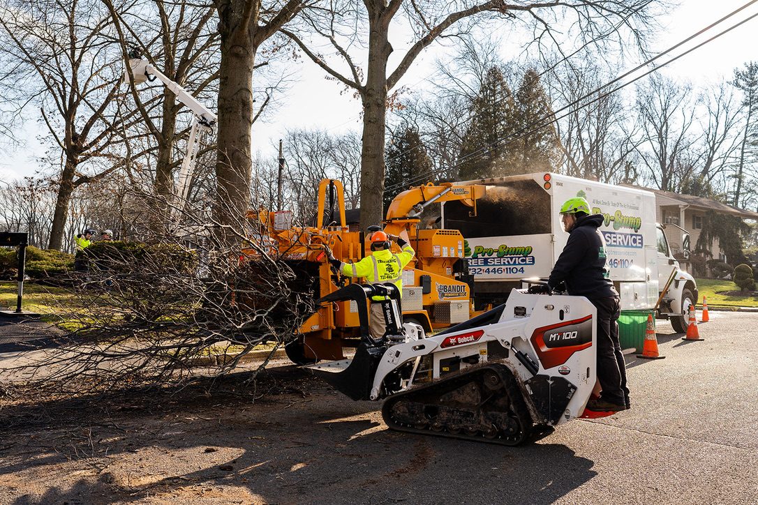 Bandit wood chipper processing brush by Pro-Stump Tree Service