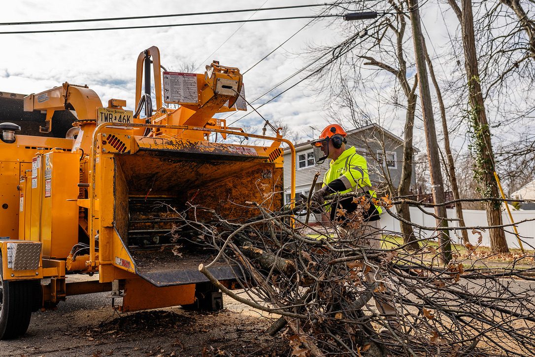 Bandit wood chipper processing brush by Pro-Stump Tree Service