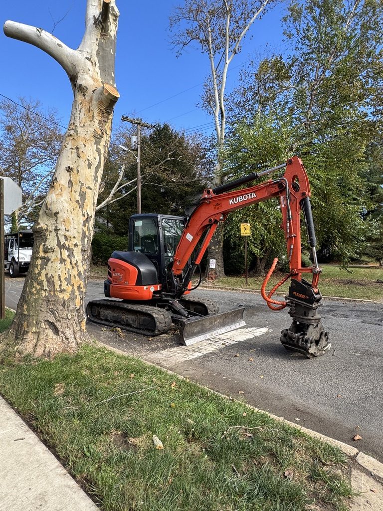 Crane-assisted sycamore removal by Pro-Stump Tree Service