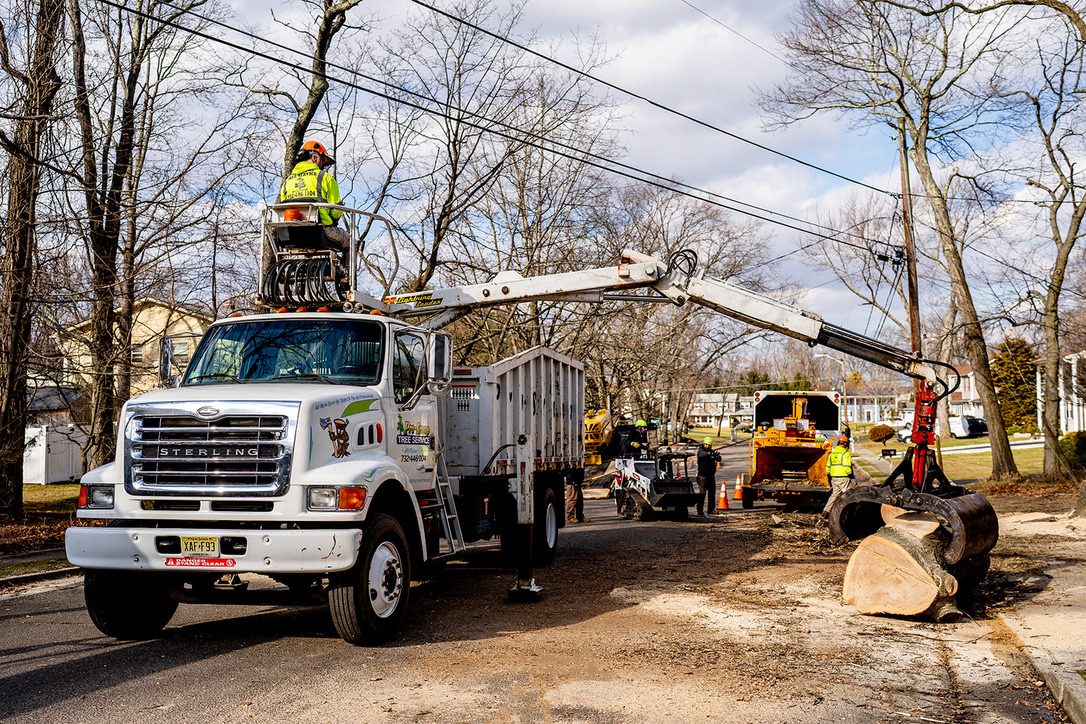 Crane-assisted tree removal by Pro-Stump Tree Service, 40-ton Terex Stinger