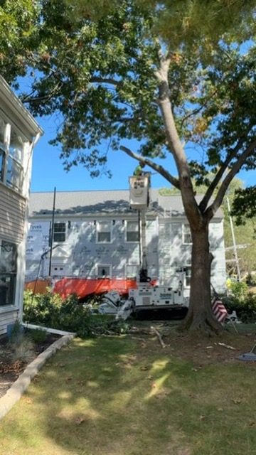 Crane-assisted tree removal by Pro-Stump Tree Service, 40-ton Terex Stinger