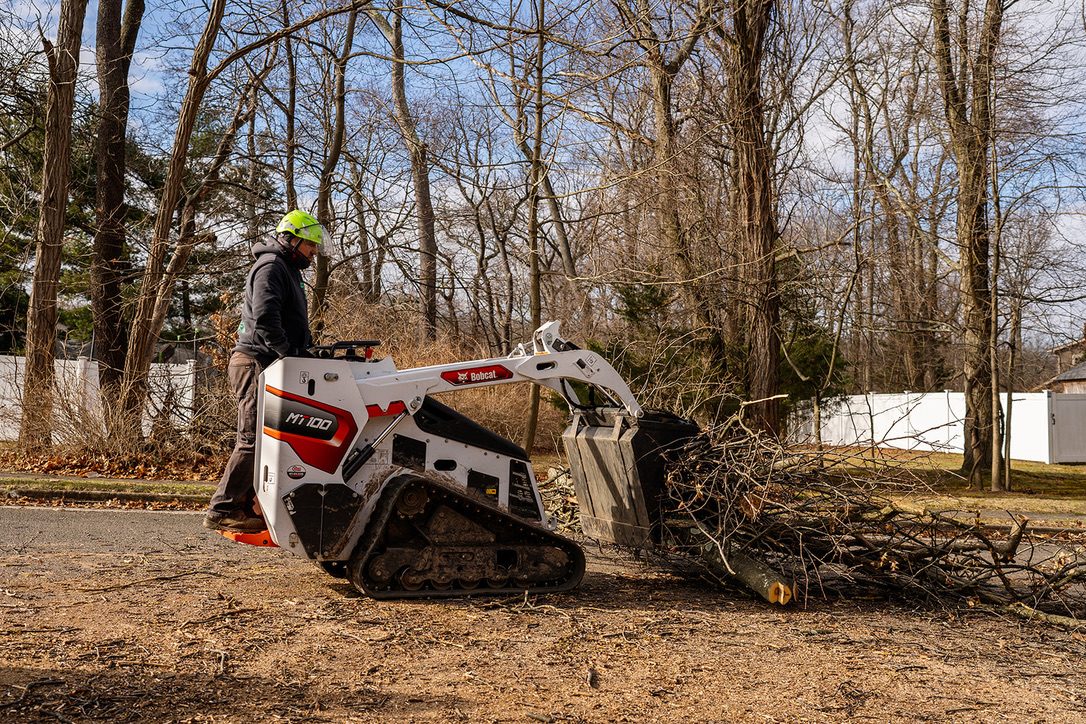 Crane-assisted tree removal by Pro-Stump Tree Service, 40-ton Terex Stinger