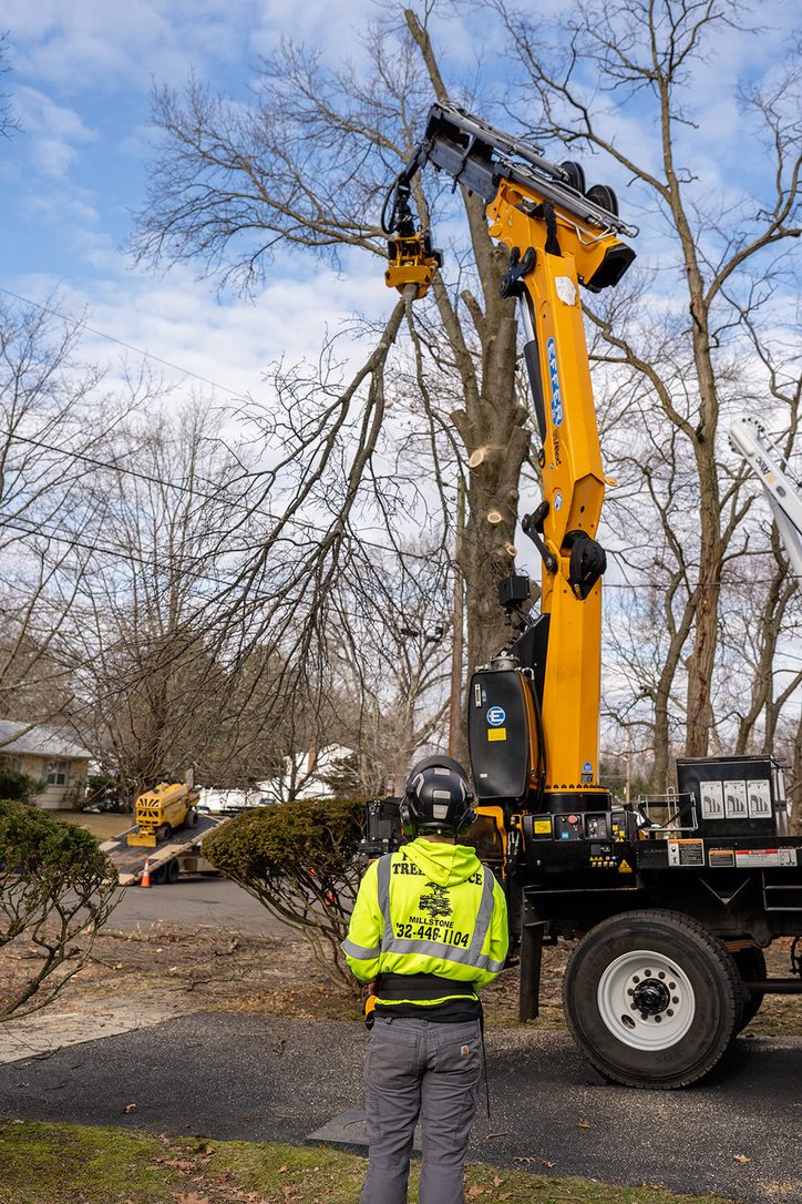 Crane-assisted tree removal by Pro-Stump Tree Service, 40-ton Terex Stinger