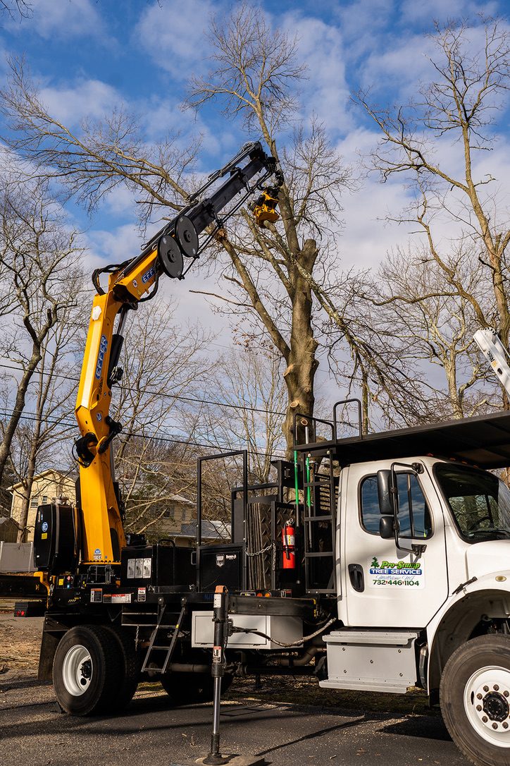 Pro-Stump Tree Service crane truck on a residential worksite
