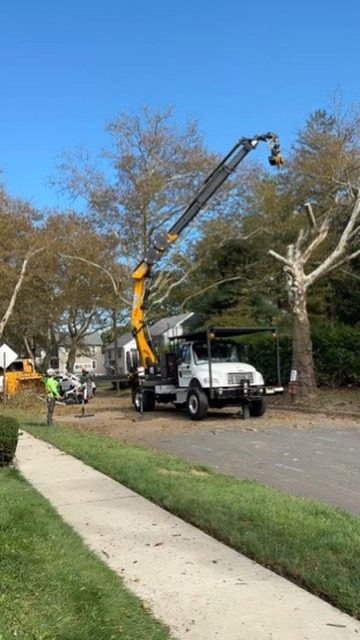 Pro-Stump Tree Service crane truck on a residential worksite