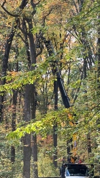 Crane truck operating on a wooded residential property, Pro-Stump Tree Service