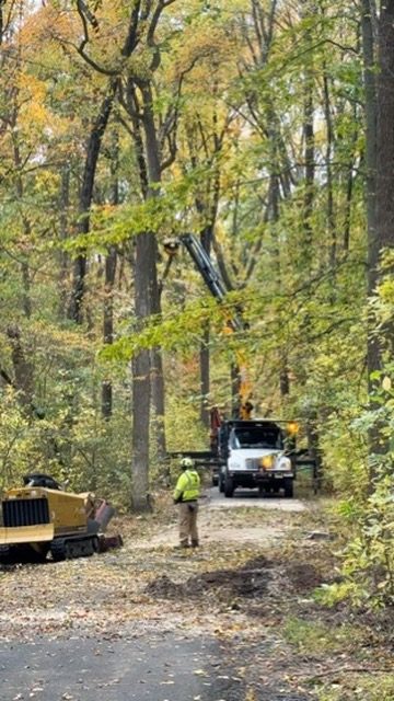 Crane truck operating on a wooded residential property, Pro-Stump Tree Service