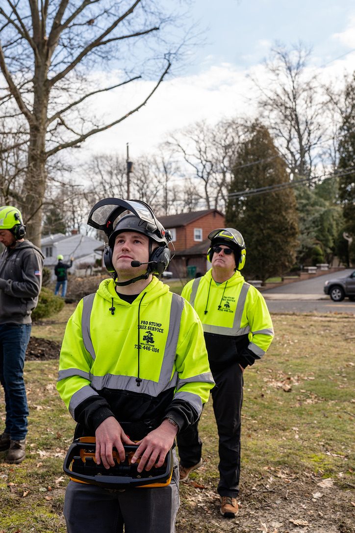 Pro-Stump crew operating a crane during tree removal