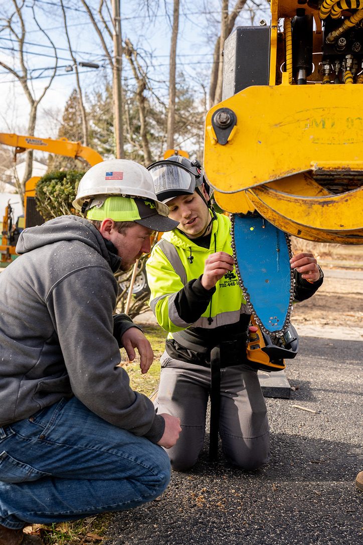 Pro-Stump crew inspecting equipment before a tree job