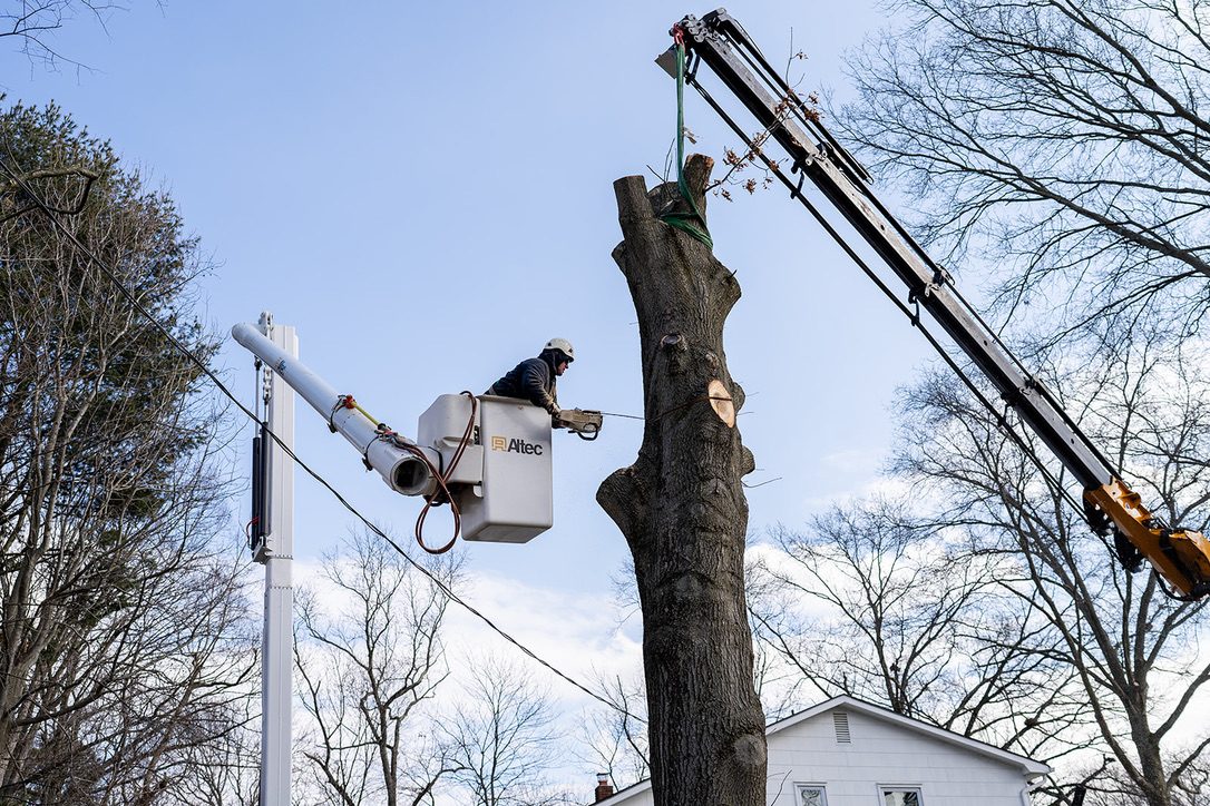 Dual-crane technical tree removal by Pro-Stump Tree Service