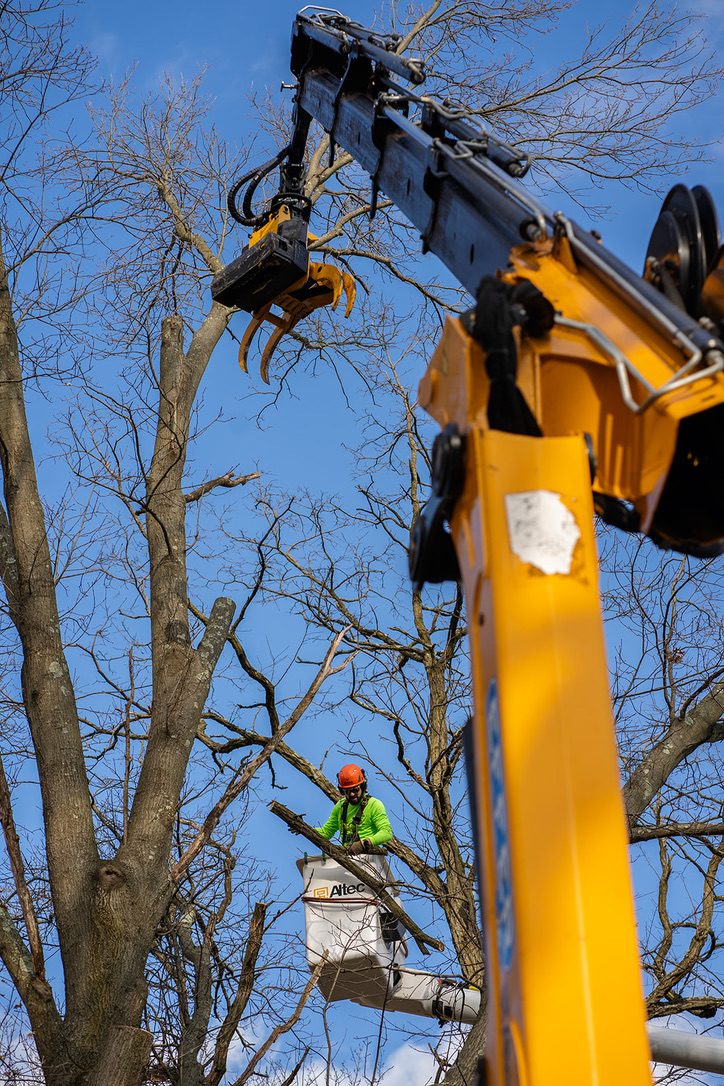 Dual-crane technical tree removal by Pro-Stump Tree Service