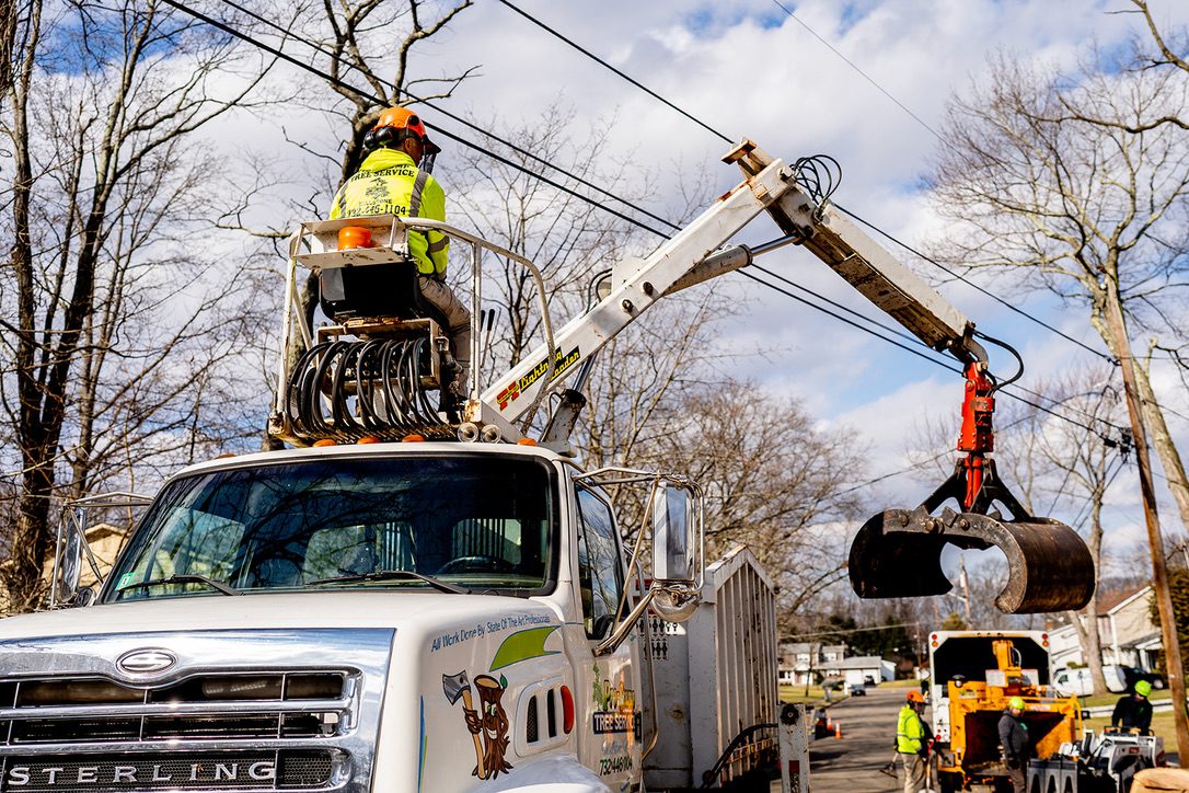 Grapple crane tree removal by Pro-Stump Tree Service