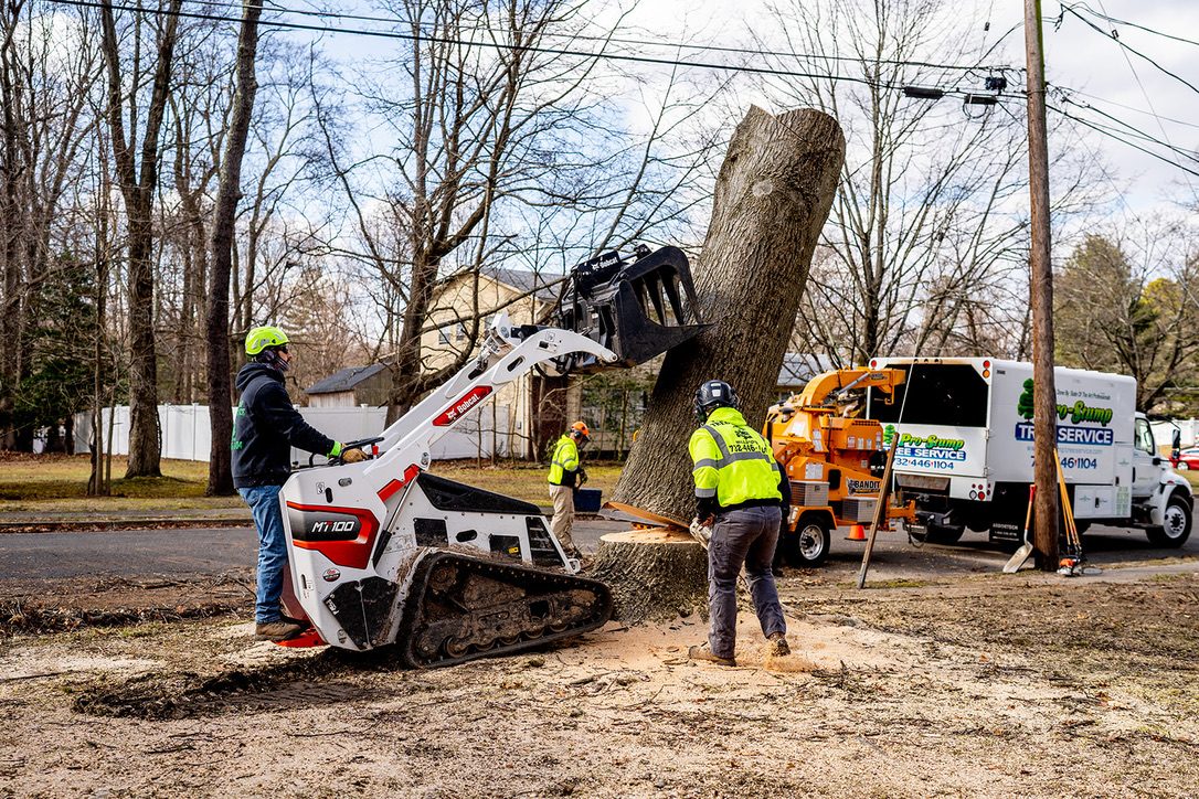 Grapple crane tree removal by Pro-Stump Tree Service