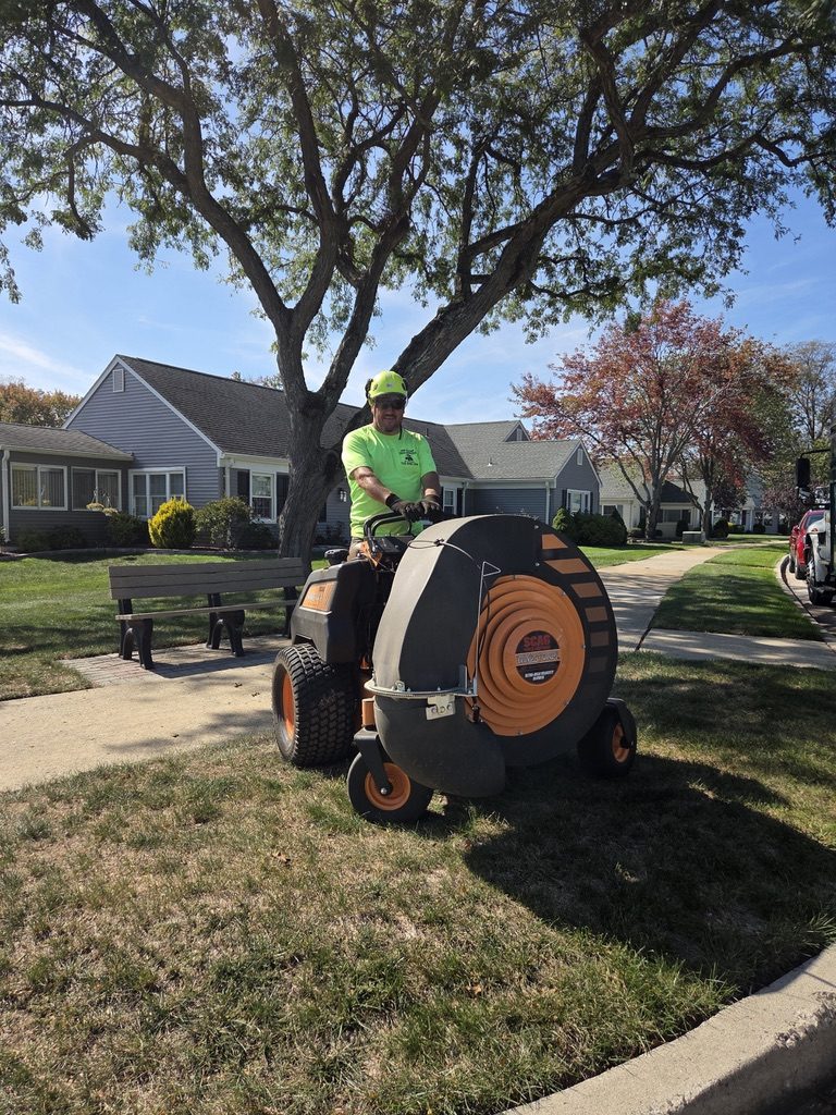 Post-job cleanup by Pro-Stump Tree Service