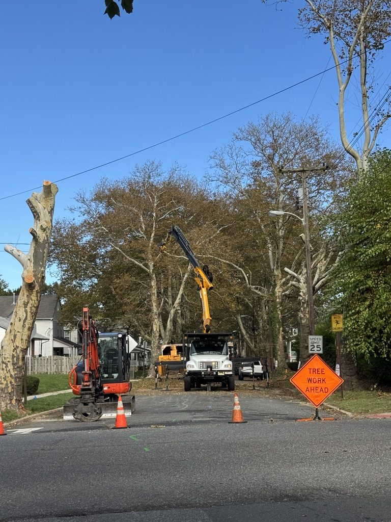 Kubota excavator during tree removal by Pro-Stump Tree Service