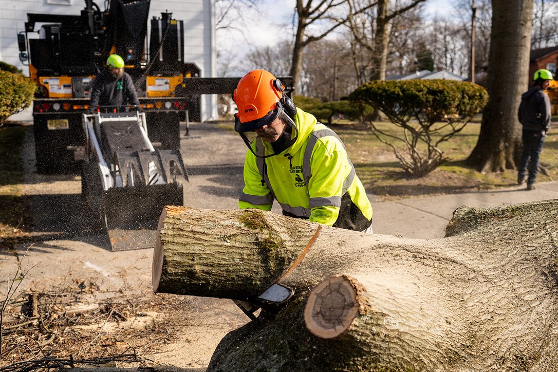 Log processing during residential tree removal by Pro-Stump Tree Service