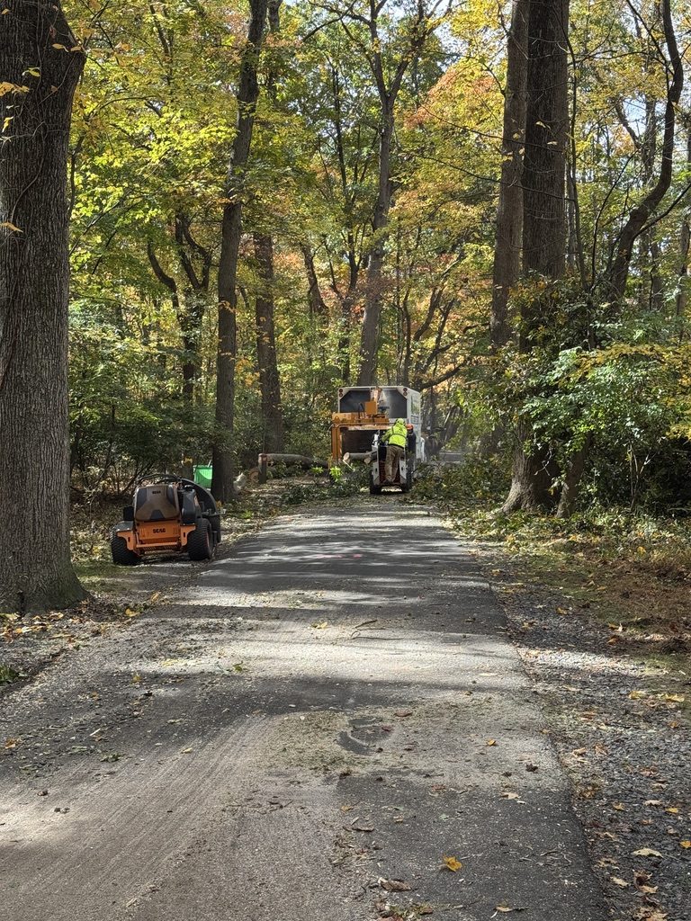 Municipal tree management project by Pro-Stump Tree Service