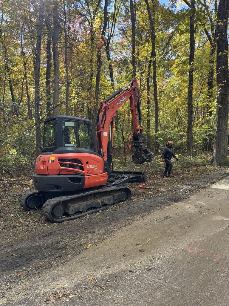 Forest tree service by Pro-Stump Tree Service