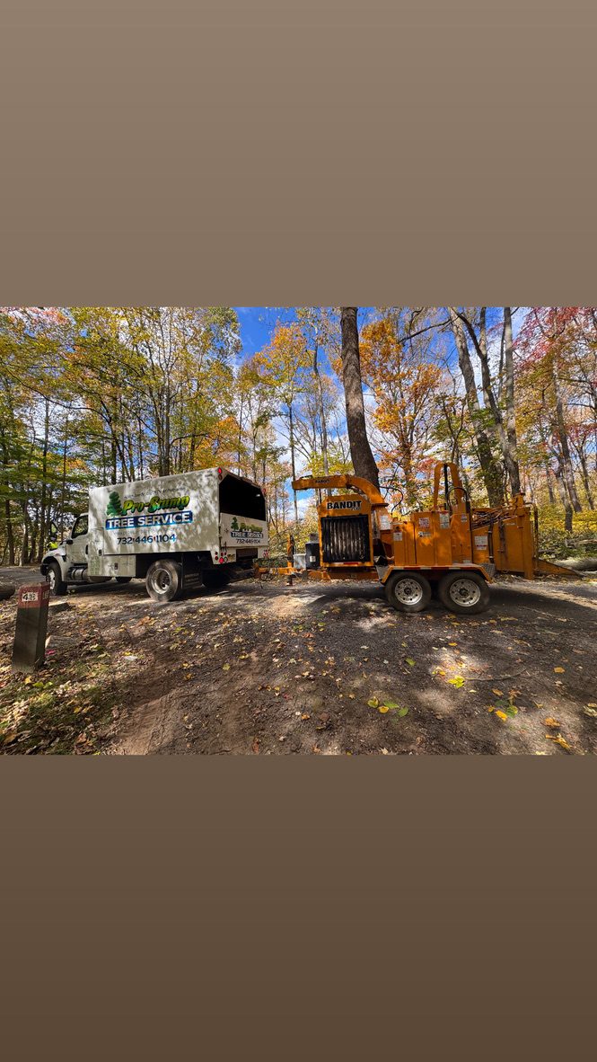 Bandit brush chipper during park land clearing by Pro-Stump Tree Service