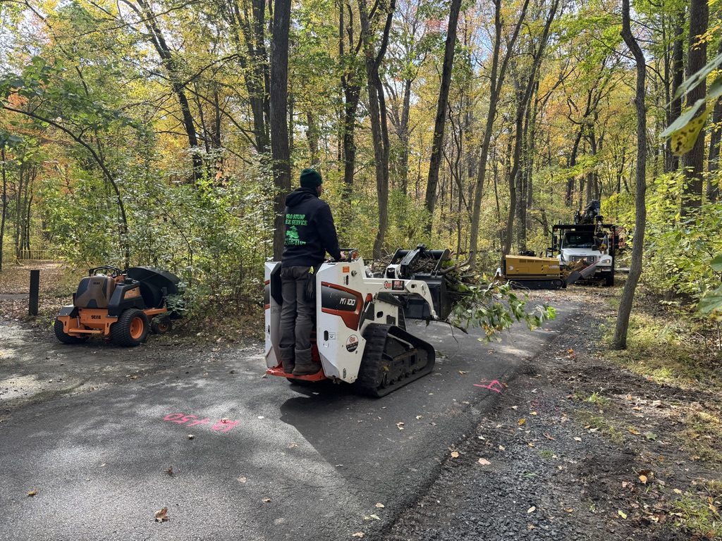 Bandit brush chipper during park land clearing by Pro-Stump Tree Service