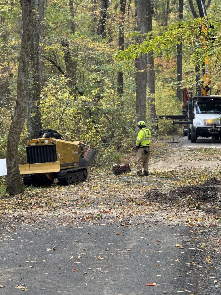 Bandit brush chipper during park land clearing by Pro-Stump Tree Service
