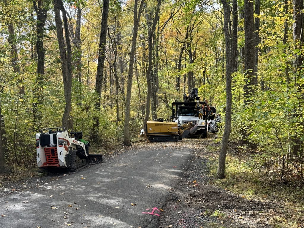 Bobcat track loader during park tree work by Pro-Stump Tree Service