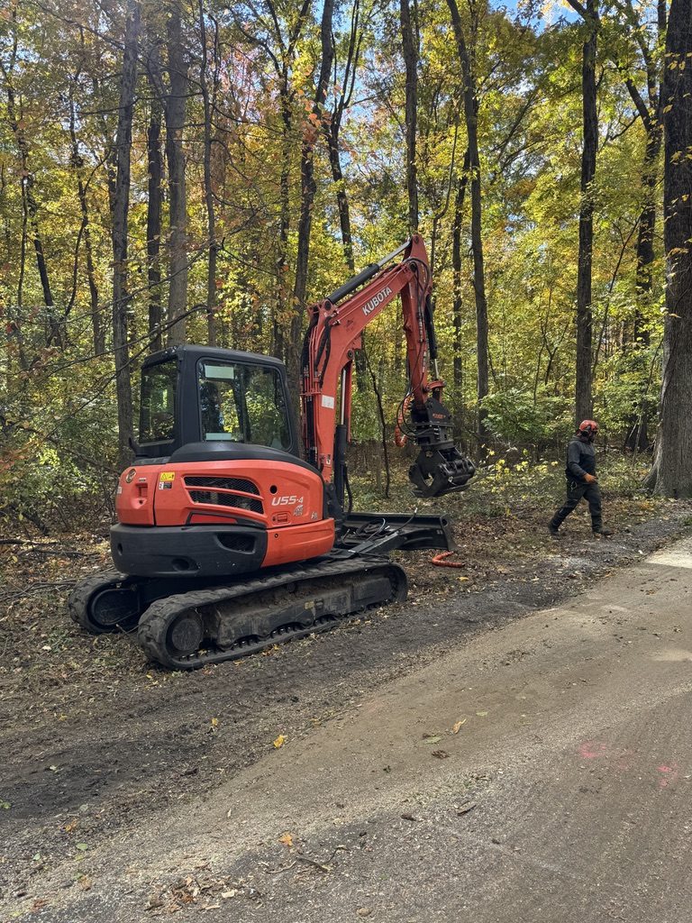 Kubota U55-4 excavator during municipal park land clearing by Pro-Stump Tree Service