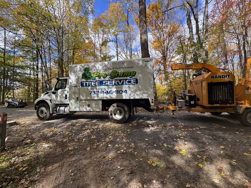 Kubota U55-4 excavator during municipal park land clearing by Pro-Stump Tree Service