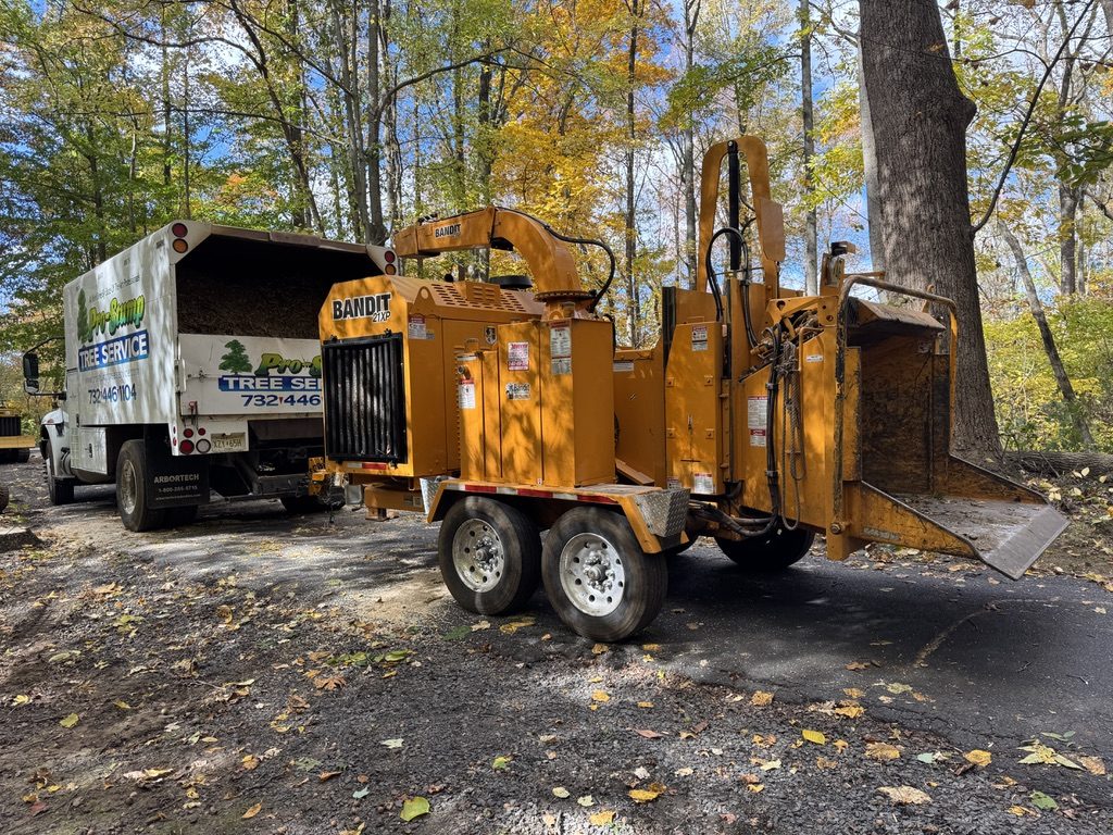 Kubota U55-4 excavator during municipal park land clearing by Pro-Stump Tree Service