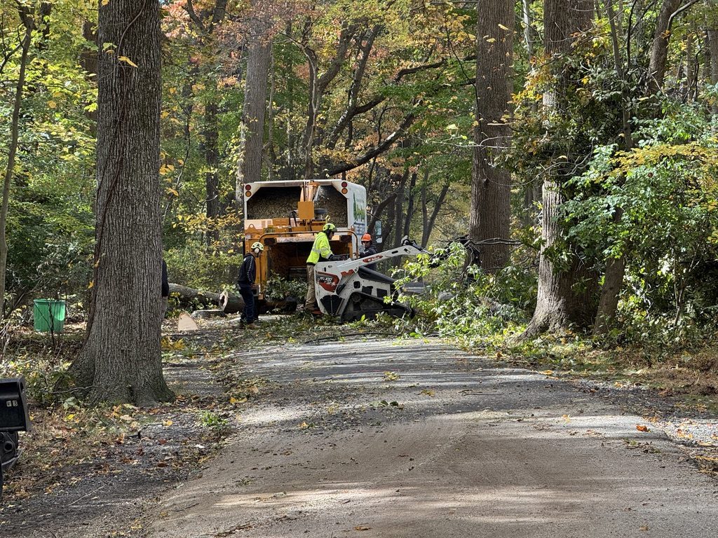 Kubota U55-4 excavator during municipal park land clearing by Pro-Stump Tree Service