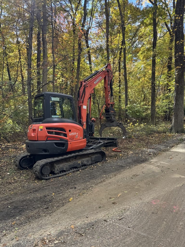 Log processing during park land clearing by Pro-Stump Tree Service