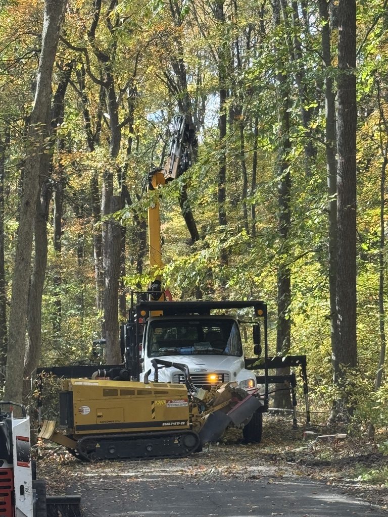 Grapple-saw crane truck at a municipal park by Pro-Stump Tree Service