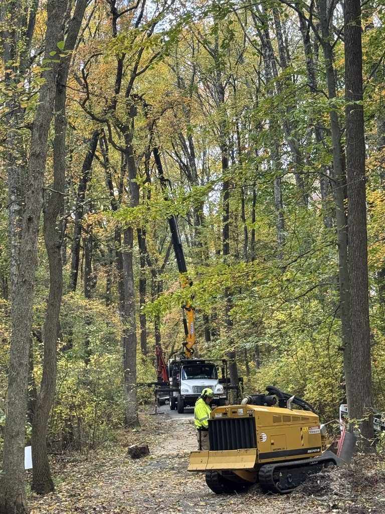 Grapple-saw crane truck at a municipal park by Pro-Stump Tree Service