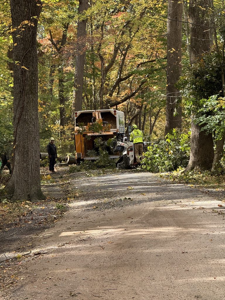 Grapple-saw crane truck at a municipal park by Pro-Stump Tree Service