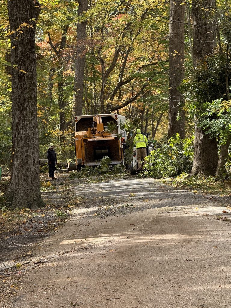 Grapple-saw crane truck at a municipal park by Pro-Stump Tree Service