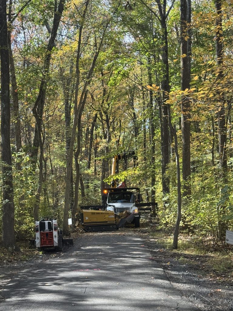 Pro-Stump Tree Service crew clearing overgrowth at a municipal park