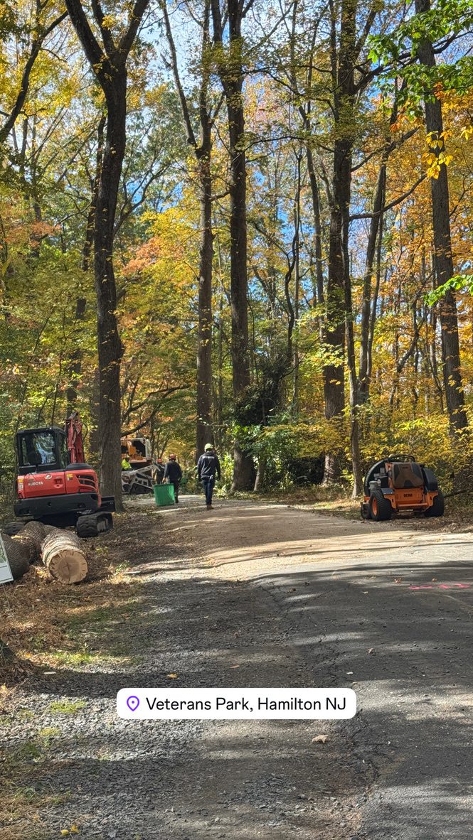 Pro-Stump Tree Service work truck at a park land-clearing site